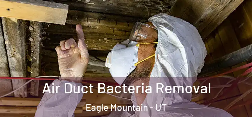 Air Duct Bacteria Removal Eagle Mountain - UT