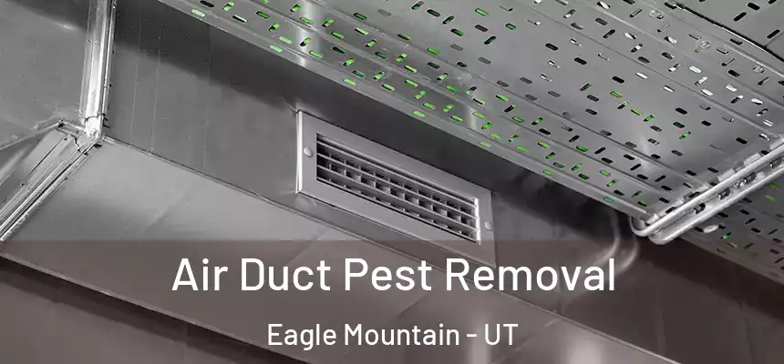 Air Duct Pest Removal Eagle Mountain - UT