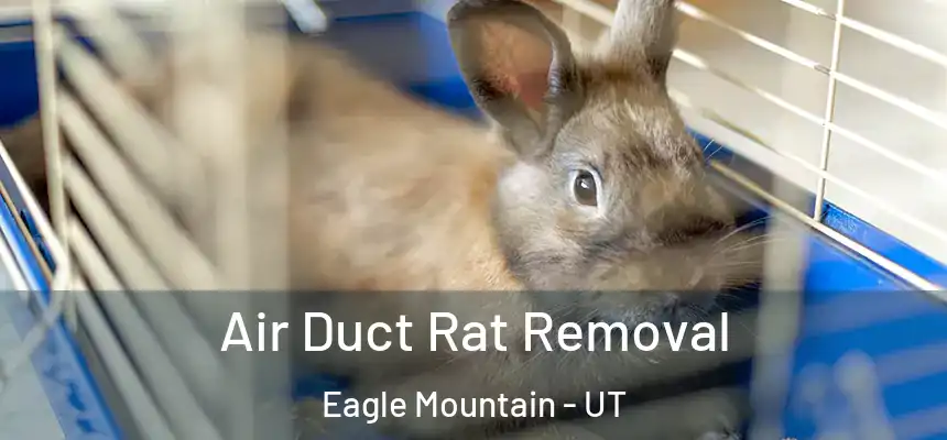 Air Duct Rat Removal Eagle Mountain - UT