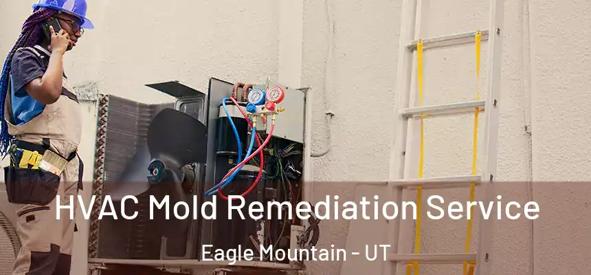  HVAC Mold Remediation Service Eagle Mountain - UT