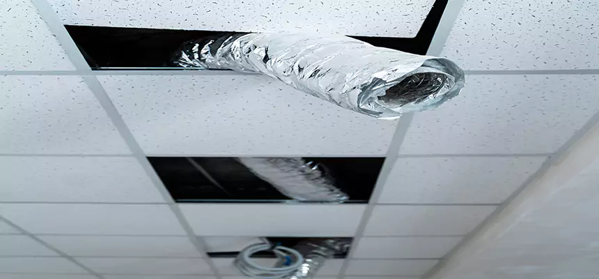 Affordable HVAC Sanitizing After Pest Removal in Eagle Mountain