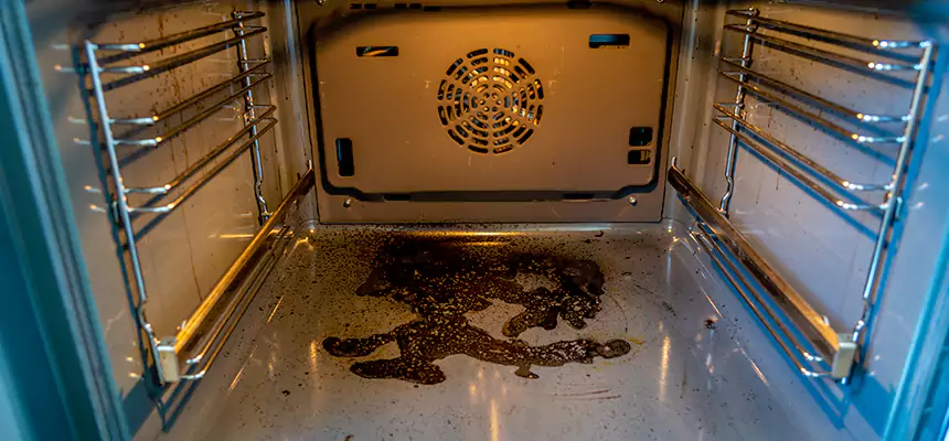 Our Dryer Vent Mold Cleaning Services in Eagle Mountain, UT