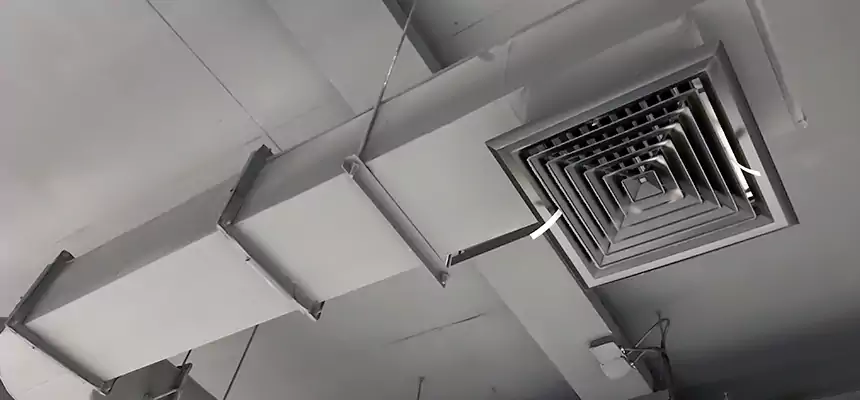 Our Pest Removal From Ducts Services in Eagle Mountain, UT