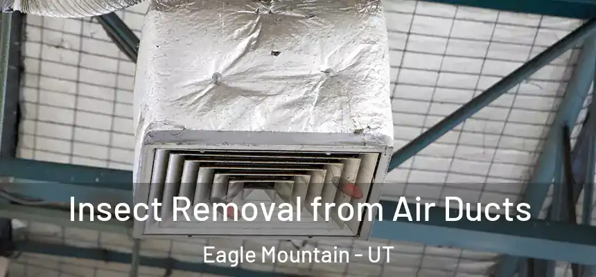 Insect Removal from Air Ducts Eagle Mountain - UT