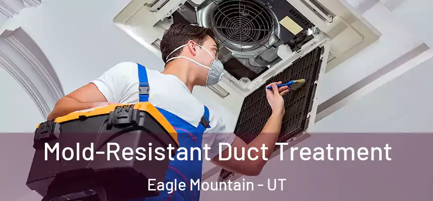  Mold-Resistant Duct Treatment Eagle Mountain - UT