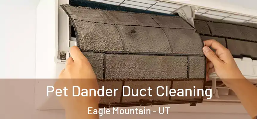  Pet Dander Duct Cleaning Eagle Mountain - UT