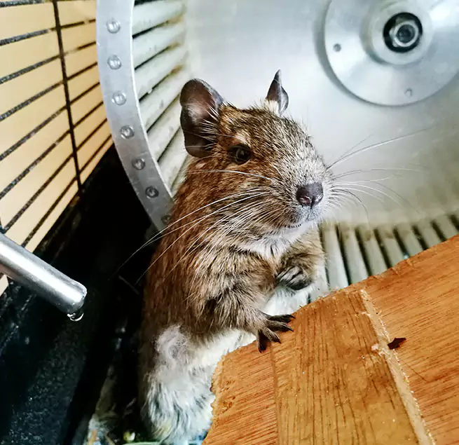 Why Homeowners & Businesses Trust Us Eagle Mountain, UT